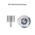 E61 & Mechanical Gauge